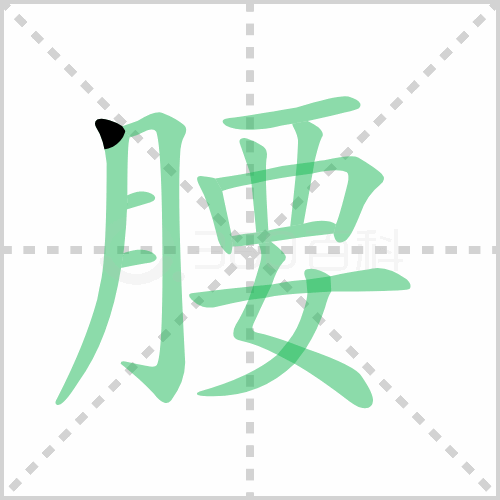 背曲腰躬,纳胯挪腰,膀大腰粗腰鼓兄弟,眼腰黄赤,带减腰围展脚伸腰