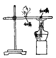 生活中的化学现象之妹妹抢了先：妹妹抢了先，这是怎么回事？