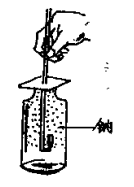生活中的化学现象之黄色的火焰，罩上了白烟：黄色的火焰，罩上了白烟，这是什么原因造成的？