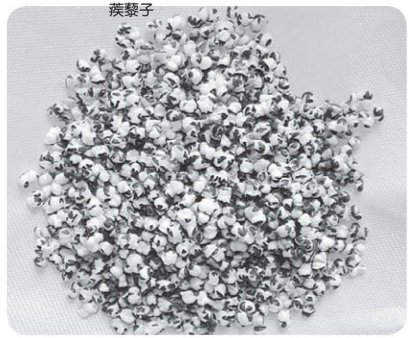 认识化学元素（非金属篇）：生命的火种、灵丹妙药——硒元素