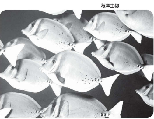 认识化学元素(金属篇):爱丽特罗尼金属——元素钒插图1 认识化学元素(金属篇):爱丽特罗尼金属——元素钒