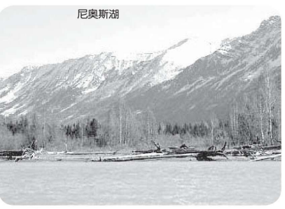 科学趣味故事:杀人湖为什么会杀人——二氧化碳插图 科学趣味故事:杀人湖为什么会杀人——二氧化碳