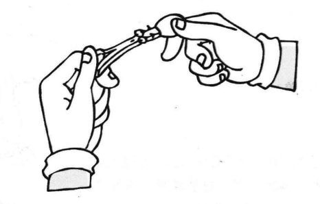 简单的儿童科学小实验:倒不出来的水【水的小实验】插图2 简单的儿童科学小实验:倒不出来的水【水的小实验】