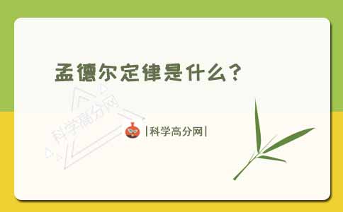 孟德尔遗传定律 孟德尔定律是什么