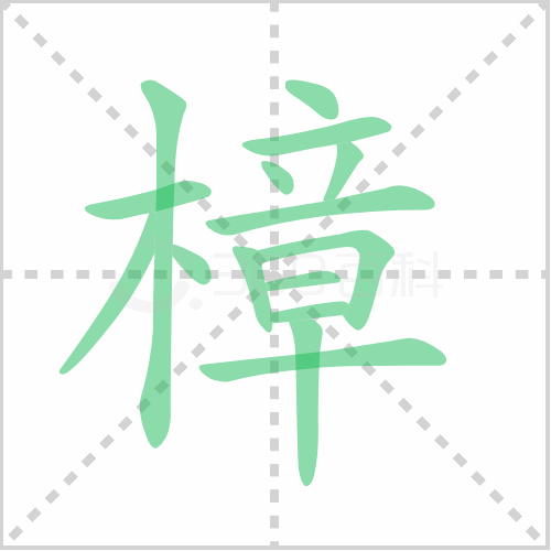 樟组词 解答樟组词有哪些与香樟的樟组词怎么组！