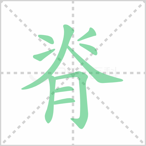 脊的笔顺 解答脊的笔顺及脊的笔顺笔画顺序怎么写！