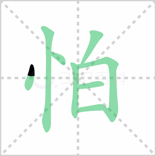 怕组词 解答怕组词有哪些与怕的笔顺怎么写！