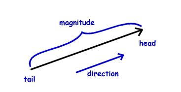 儿童物理知识 向量基础数学