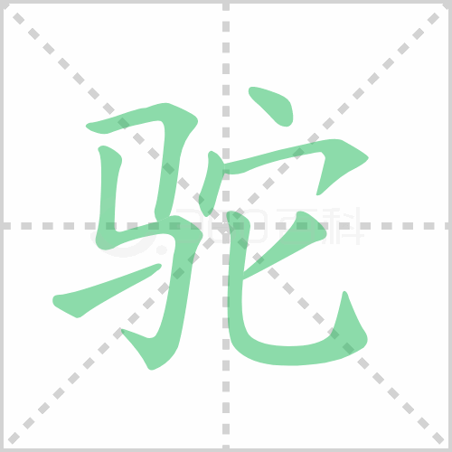 驼组词 解答驼组词有哪些与驼的笔顺怎么写！