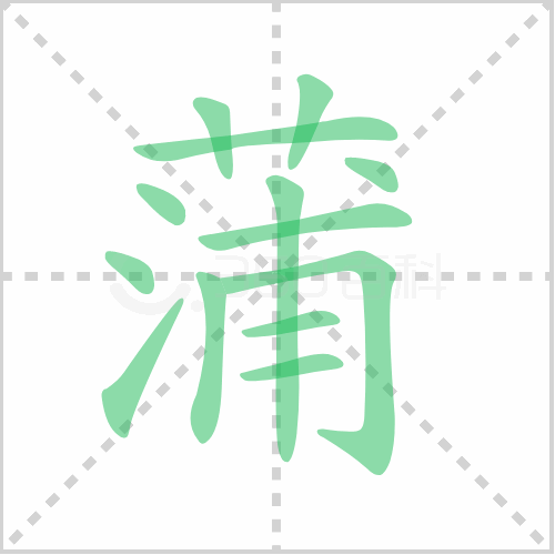 蒲组词 解答蒲组词有哪些与蒲的笔顺怎么写！