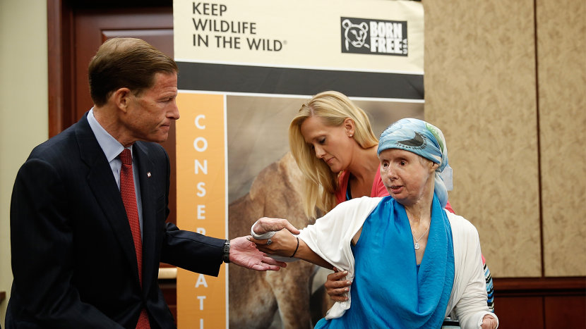 为什么猴子不能养 猴子能当宠物养吗