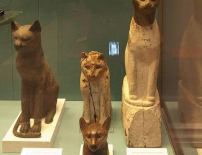 古埃及猫的地位有多高 为什么古埃及人崇拜猫?插图2 古埃及猫的地位有多高 为什么古埃及人崇拜猫?