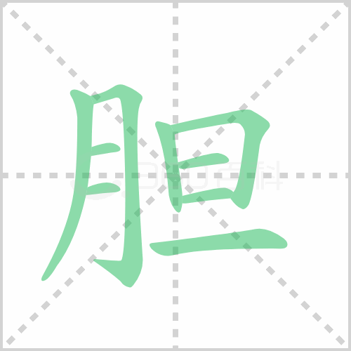 胆组词 解答胆组词有哪些与胆的笔顺怎么写！