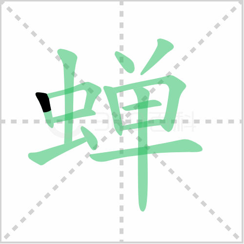 蝉组词 解答蝉组词有哪些与鸣蝉的蝉组词怎么组！