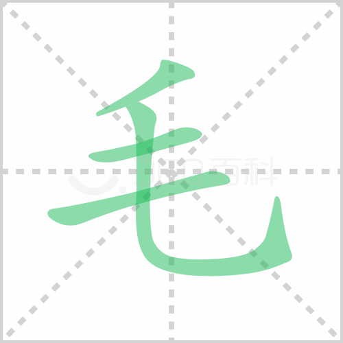 毛组词 解答毛组词有哪些与毛发的毛组词怎么组！