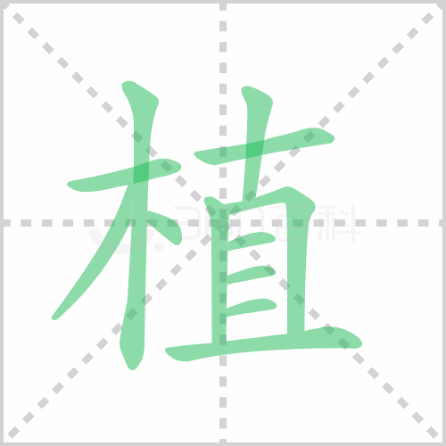 植组词 解答植组词有哪些与植的笔顺怎么写！