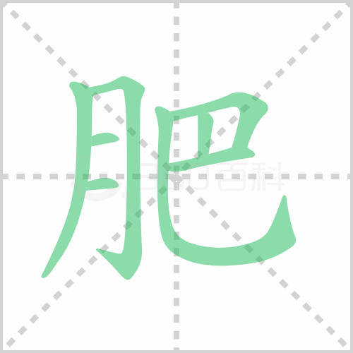 肥组词 解答肥组词有哪些与肥胖的肥组词怎么组！