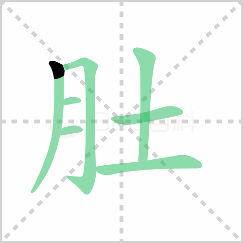 肚组词 解答肚组词有哪些与肚子的肚组词怎么组！