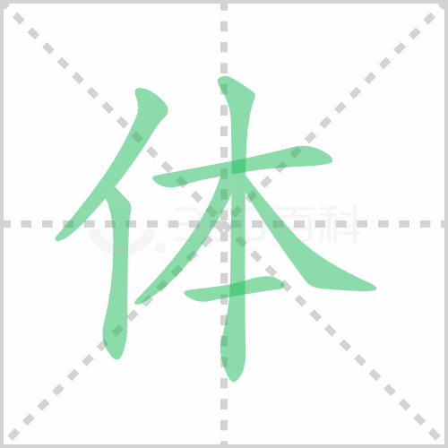 体组词 解答体组词有哪些与身体的体组词怎么组！