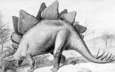 剑龙是食草还是食肉 剑龙儿童版知识科普插图 剑龙是食草还是食肉 剑龙儿童版知识科普