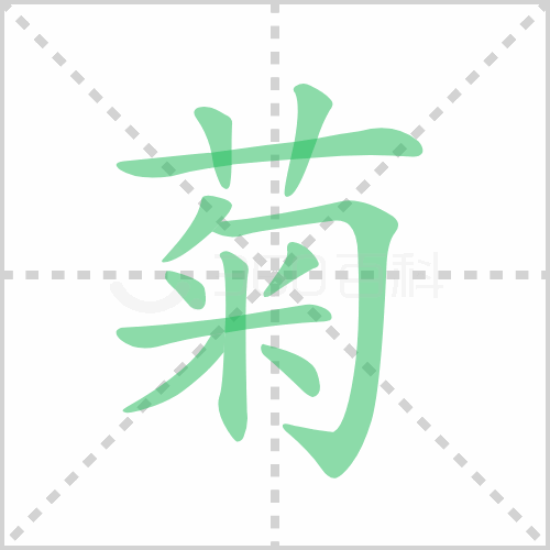 菊组词 解答菊组词有哪些与菊的笔顺怎么写！