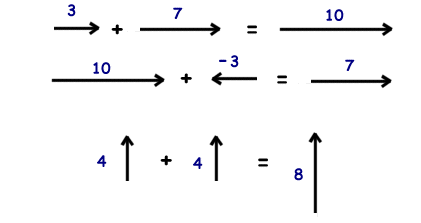 儿童物理知识 向量基础数学