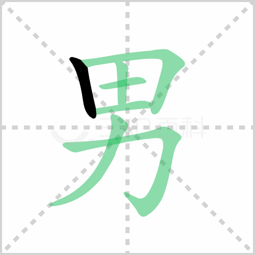 男的笔顺 解说男的笔顺及男的笔画顺序怎么写！