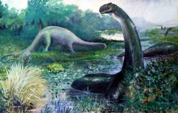 恐龙雷龙的资料 雷龙的主要特点插图1 恐龙雷龙的资料 雷龙的主要特点