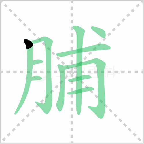 脯组词 解答脯组词有哪些与脯的笔顺怎么写！