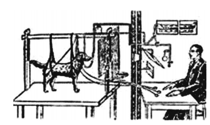 科学家的故事:巴甫洛夫——不愿做心理学家的心理学家插图2 科学家的故事:巴甫洛夫——不愿做心理学家的心理学家