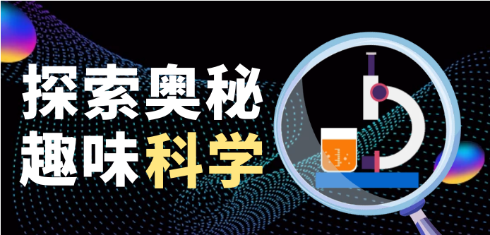隐身衣是如何让人“隐身”的?变色龙为什么会变色?插图 隐身衣是如何让人“隐身”的?变色龙为什么会变色?