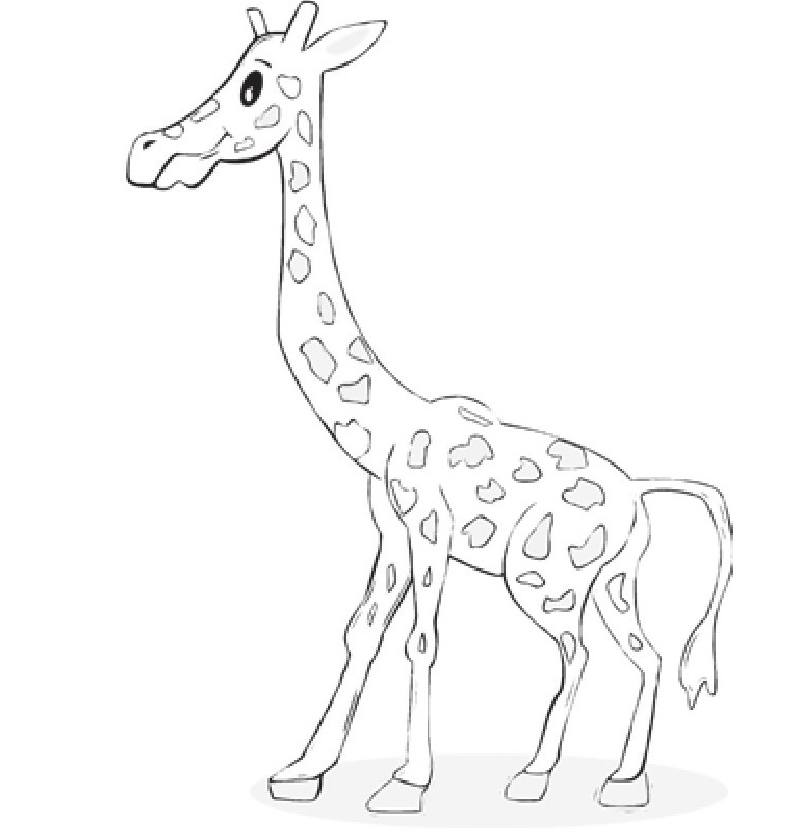 趣味生物科普知识：长颈鹿为何有这么长的脖子？