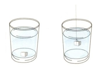 简单的儿童物理小实验:巧化糖块【溶解小实验】