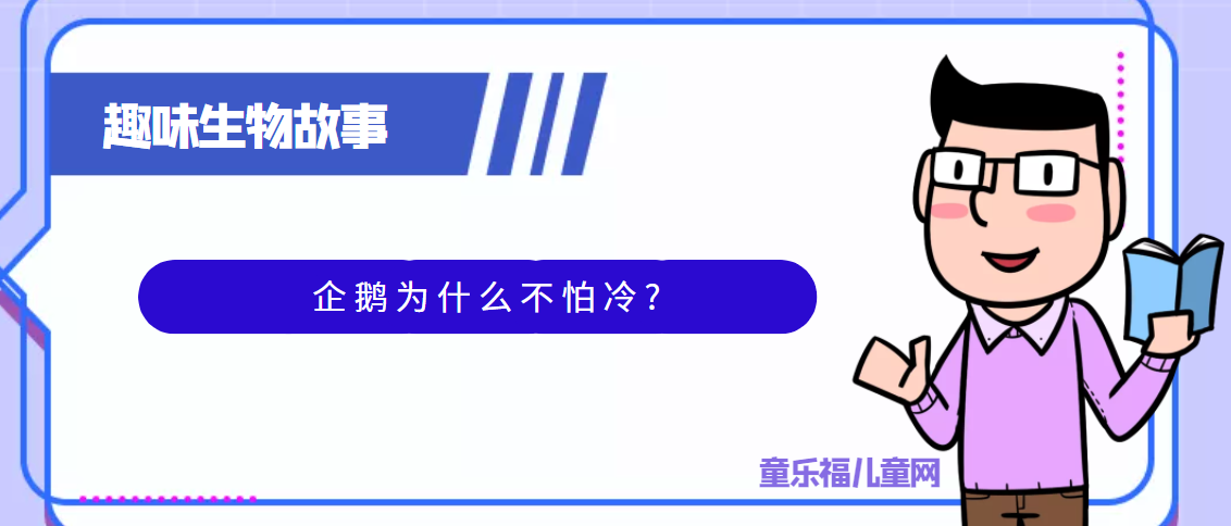 趣味生物科普知识：海洋之舟——企鹅为什么不怕冷?