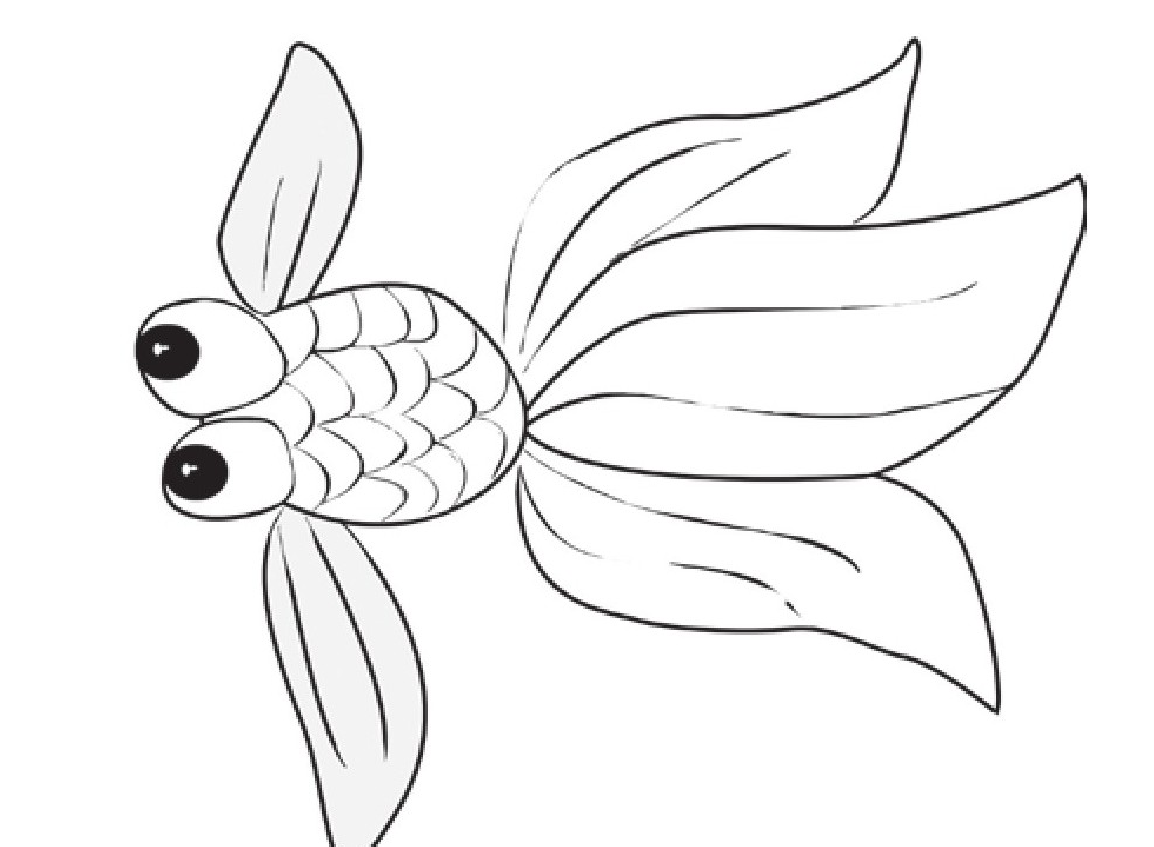 趣味生物科普知识:鱼的年龄是如何计算的——鳞片年轮插图1 趣味生物科普知识:鱼的年龄是如何计算的——鳞片年轮