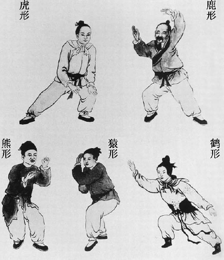 中国古代科学家的故事:华佗发明麻沸散插图3 中国古代科学家的故事:华佗发明麻沸散