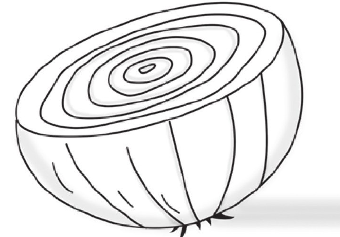 趣味生物科普知识：洋葱为什么让人流泪