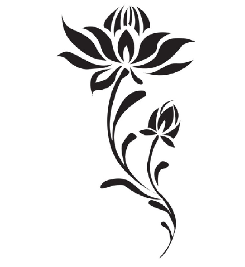 趣味生物科普知识：恶之花——罂粟虽美，危害多多