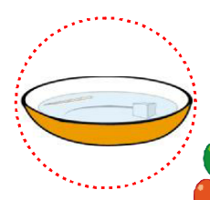 简单的儿童物理小实验:神奇的牙签【溶解小实验】插图1 简单的儿童物理小实验:神奇的牙签【溶解小实验】