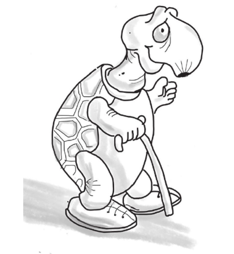 趣味生物科普知识：乌龟为什么寿命长