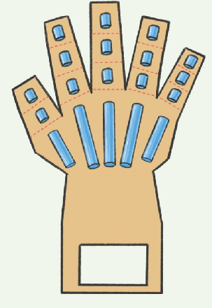 神经系统科技小制作：可抓握的机械手掌