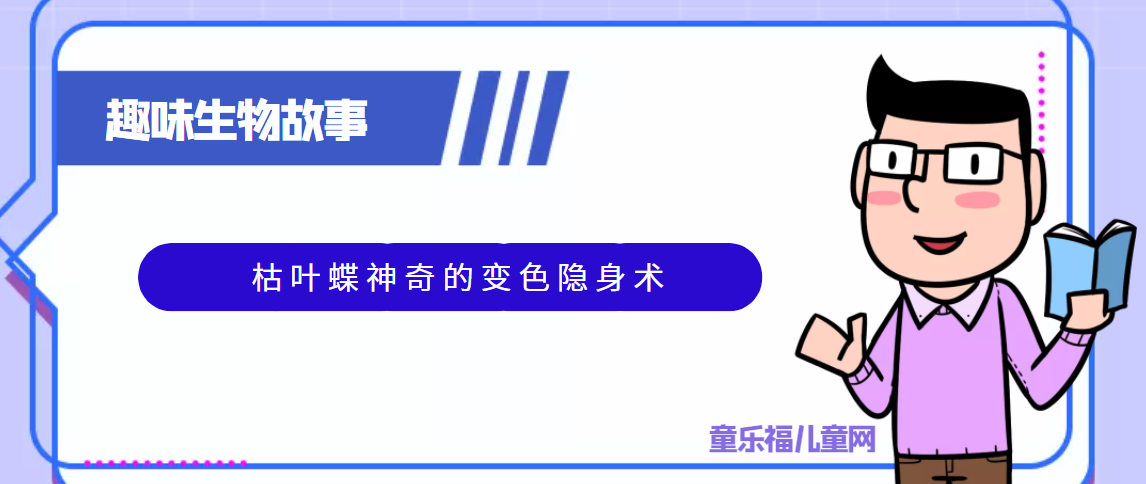 趣味生物科普知识：枯叶蝶神奇的变色隐身术