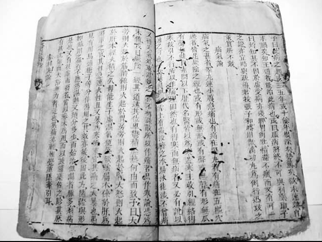 中国古代科学家的故事:梧桐叶助产插图1 中国古代科学家的故事:梧桐叶助产