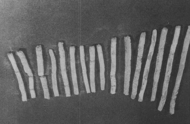 中国古代科学家的故事：刘洪发明算盘