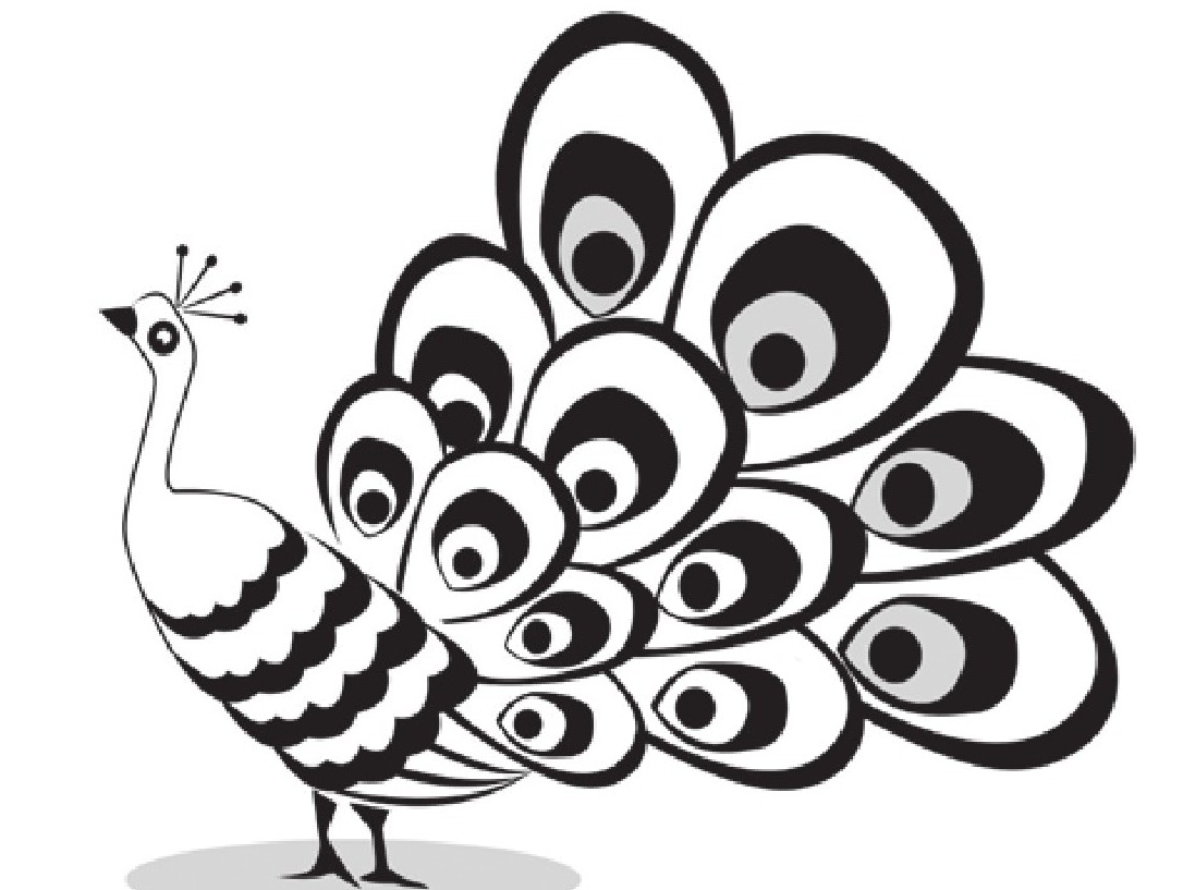 趣味生物科普知识：孔雀开屏为哪般？孔雀开屏的原因是什么？