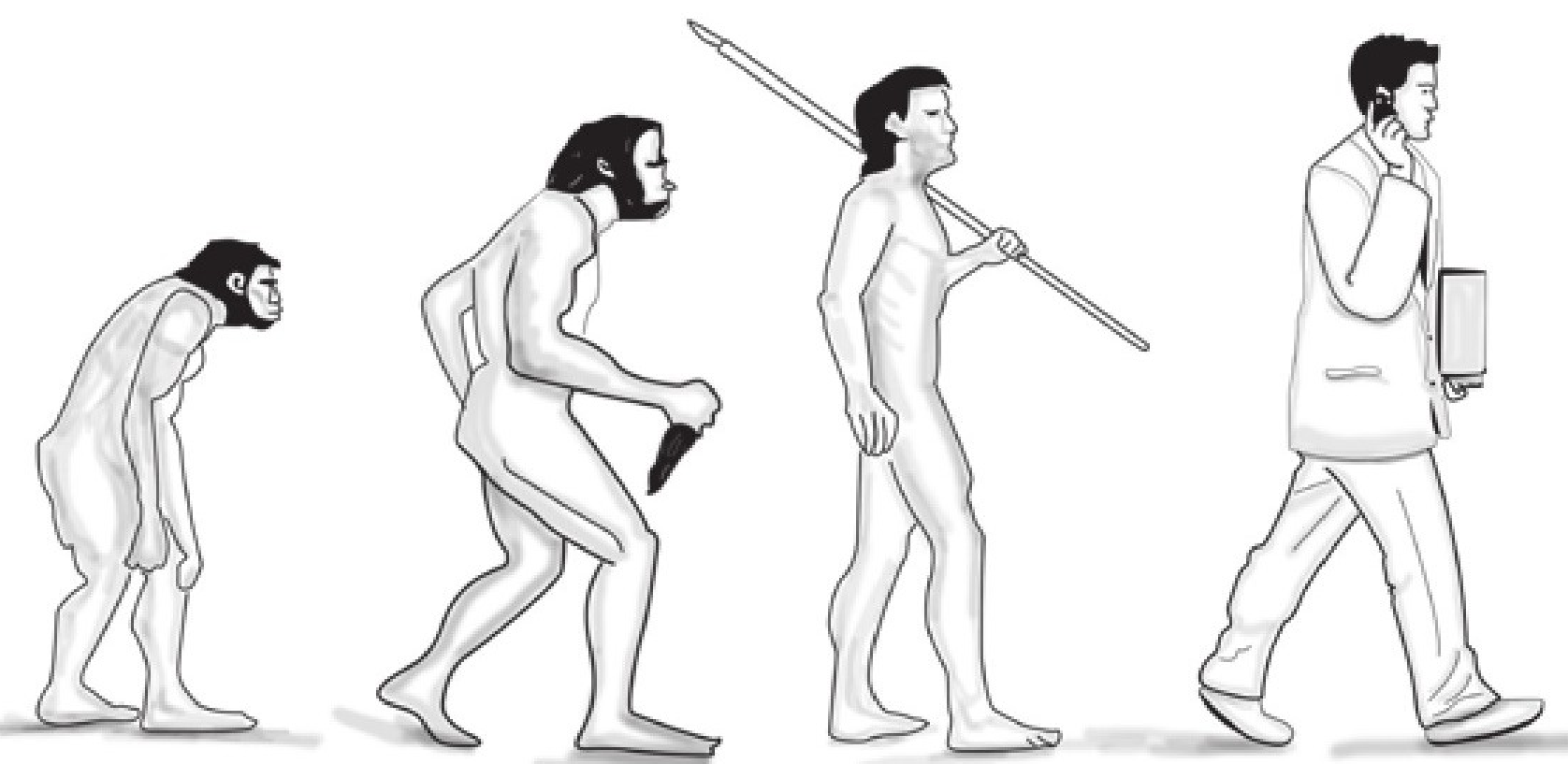 趣味生物故事:人类是如何进化的插图1 趣味生物故事:人类是如何进化的