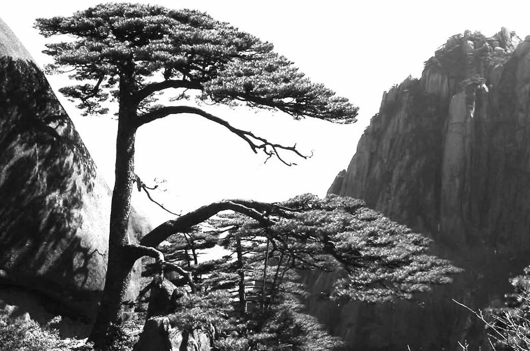 中国古代科学家的故事：走过千山万水的徐霞客