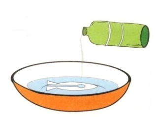 简单的儿童科学小实验:会动的纸鱼和纸船【水的小实验】