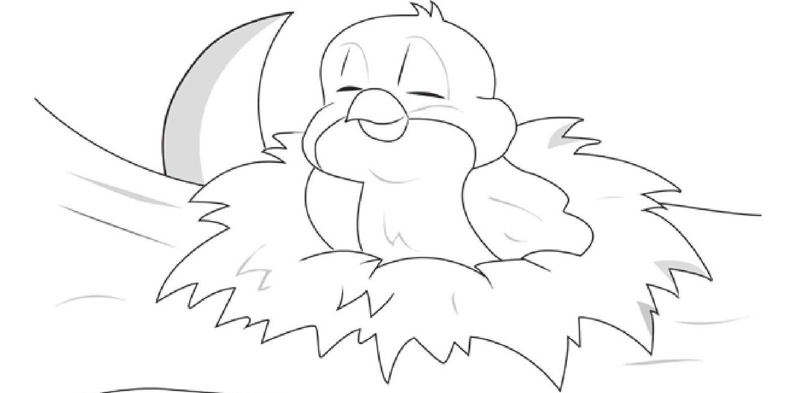 趣味生物科普知识:鸟类为什么站着睡觉插图1 趣味生物科普知识:鸟类为什么站着睡觉