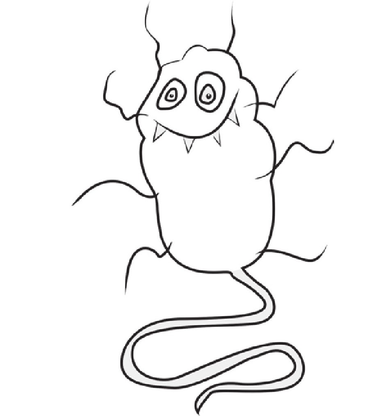 趣味生物科普知识:体小面大、随处存在的微生物插图1 趣味生物科普知识:体小面大、随处存在的微生物